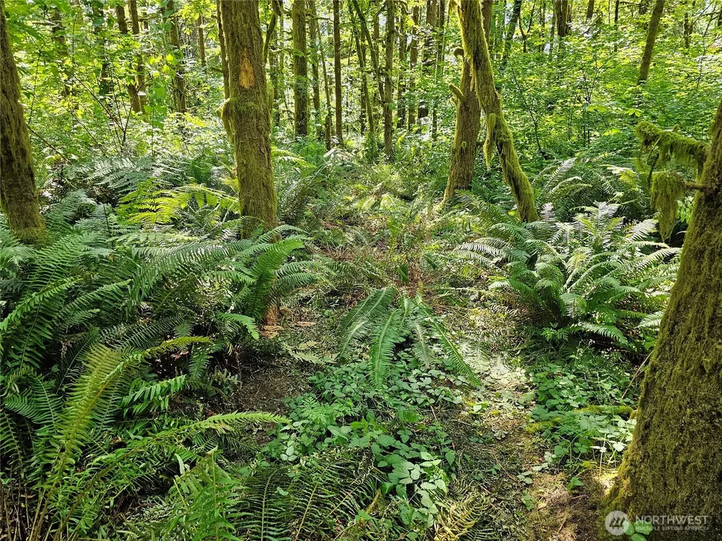 0 Peterson Road SW Tenino WA 98589