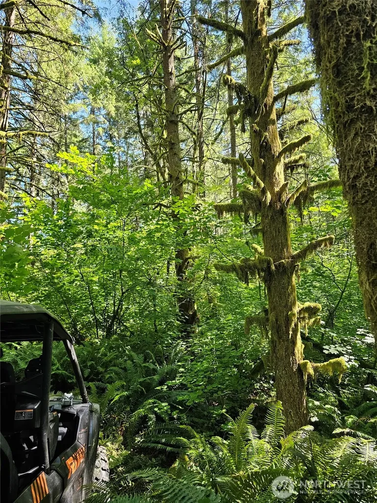 0 Peterson Road SW Tenino WA 98589