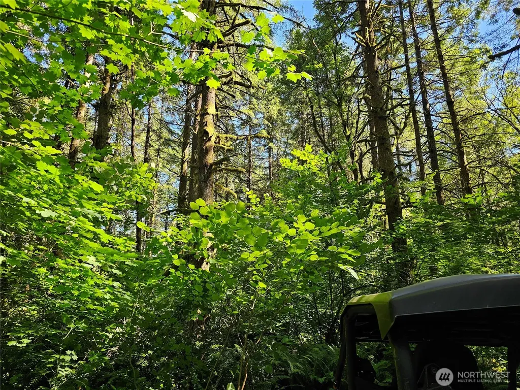 0 Peterson Road SW Tenino WA 98589