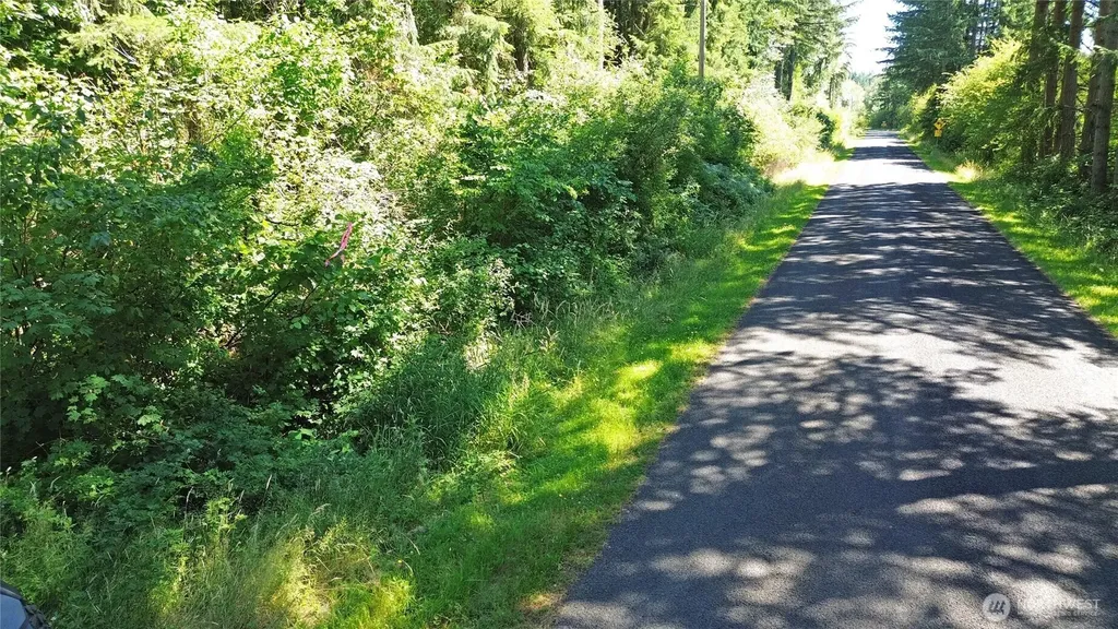 0 Peterson Road SW Tenino WA 98589