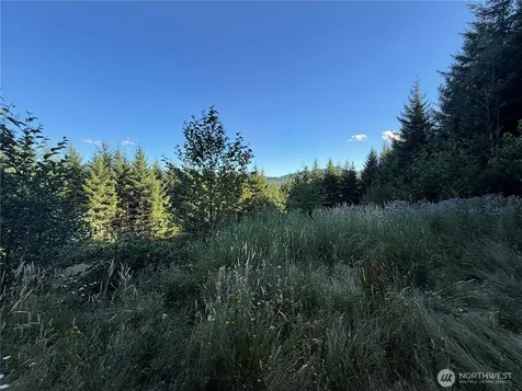 217 Ham Road Amboy WA 98601
