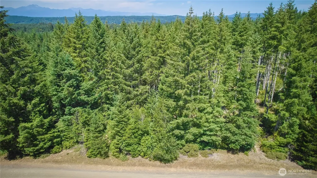 500 E Morris Creek Drive Belfair WA 98528