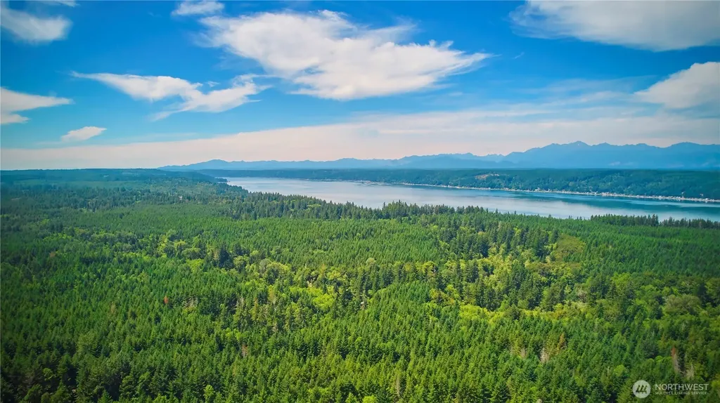 500 E Morris Creek Drive Belfair WA 98528