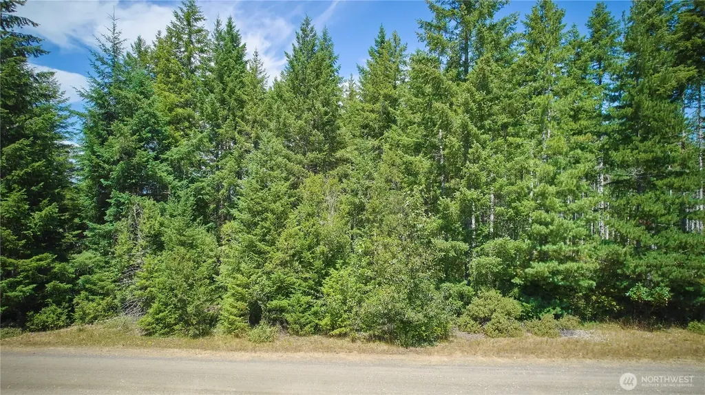 500 E Morris Creek Drive Belfair WA 98528