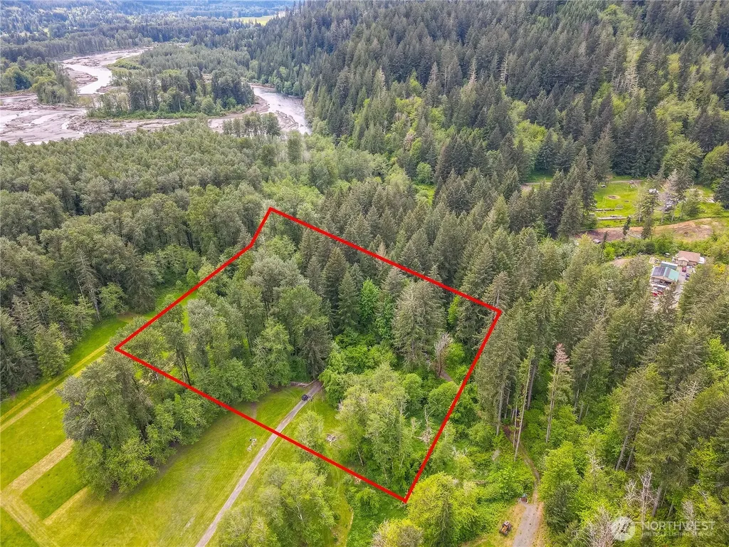 1234 Carr Road Randle WA 98337