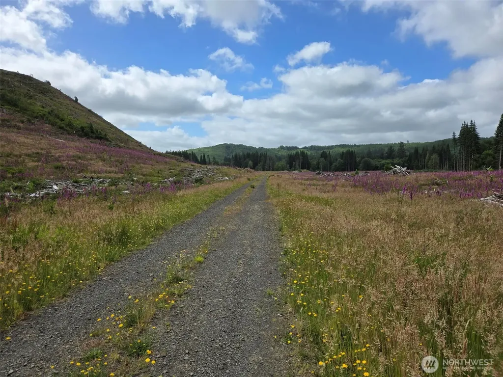 0 North River Road Cosmopolis WA 98537