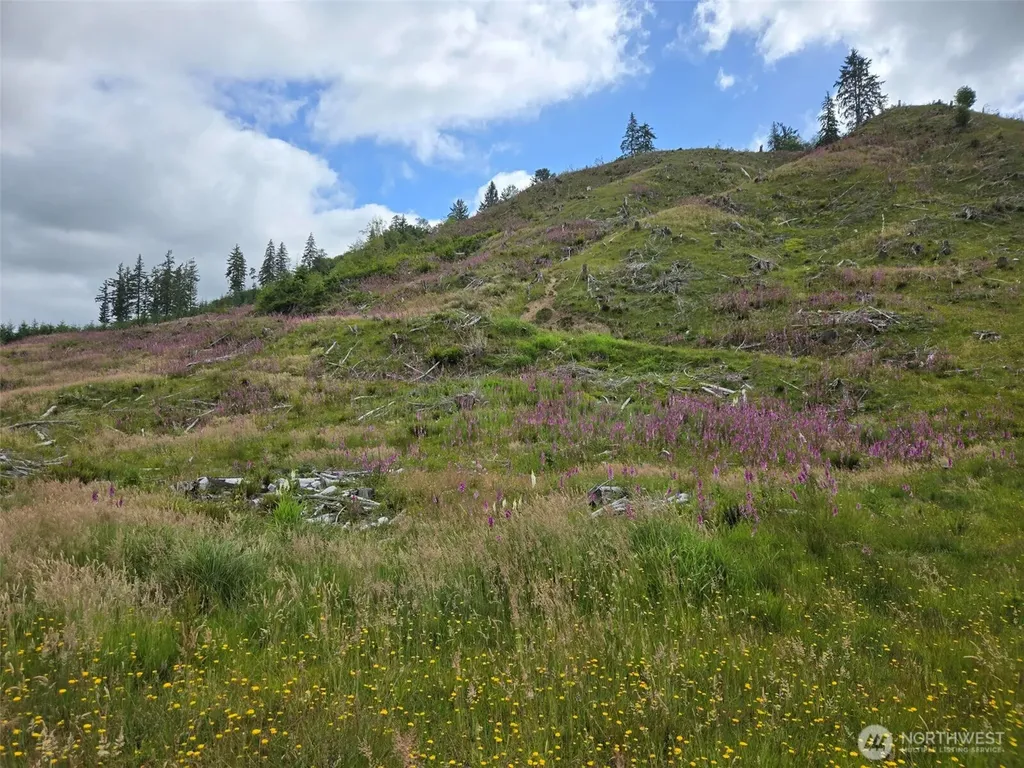 0 North River Road Cosmopolis WA 98537