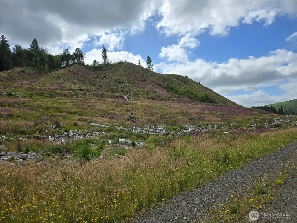 0 North River Road Cosmopolis WA 98537
