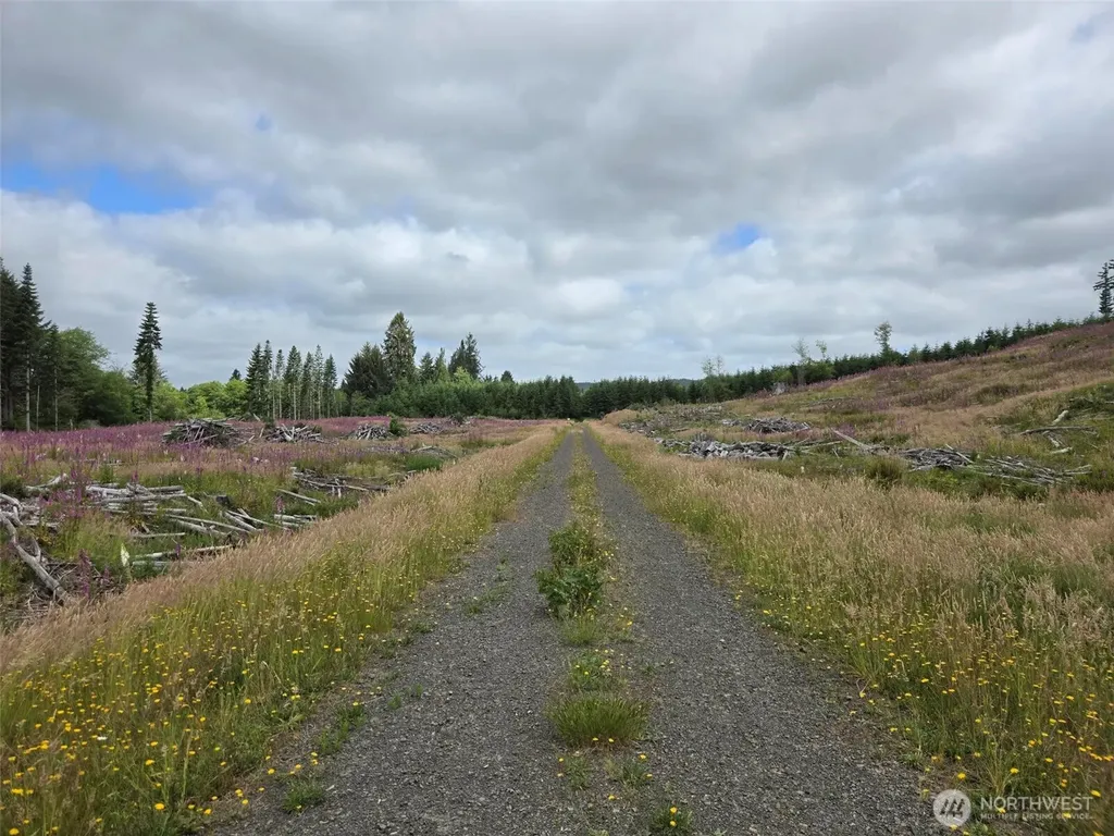 0 North River Road Cosmopolis WA 98537