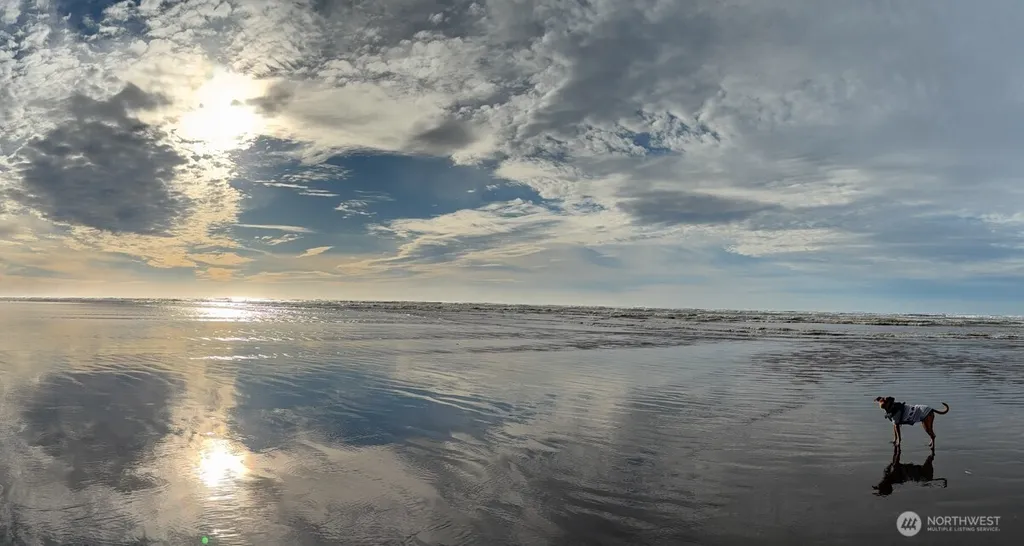 6 4th Street N Pacific Beach WA 98571