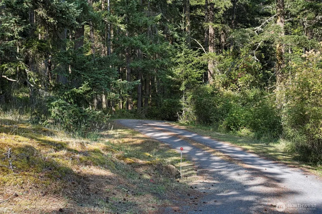 918 Terrace Drive Friday Harbor WA 98250
