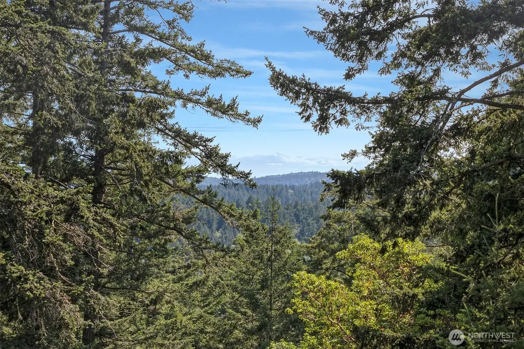 918 Terrace Drive Friday Harbor WA 98250