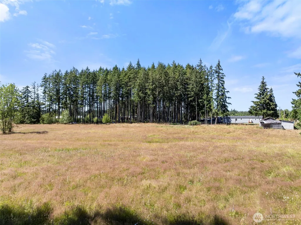217 Drews Prairie Road Toledo WA 98591