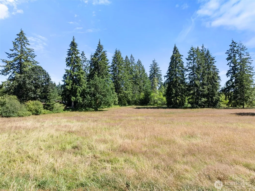 217 Drews Prairie Road Toledo WA 98591