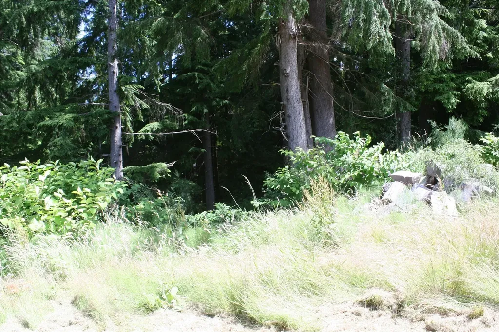 0 Forsyth & Rainier Aberdeen WA 98520