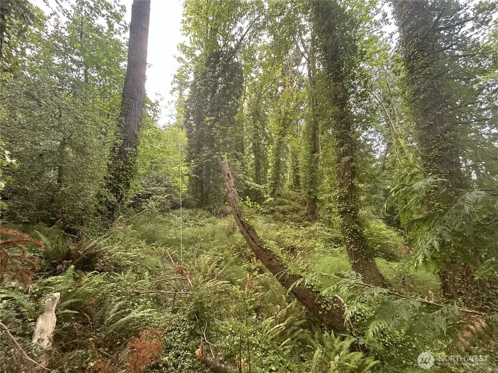 1 SE Goat Trail Road Port Orchard WA 98367