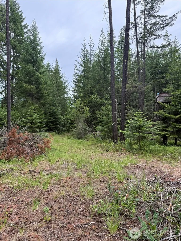 730 Tall Pines Drive Cle Elum WA 98992