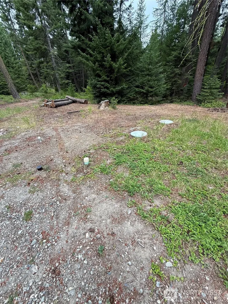 730 Tall Pines Drive Cle Elum WA 98992
