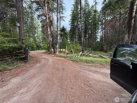 730 Tall Pines Drive Cle Elum WA 98992