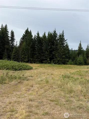 730 Tall Pines Drive Cle Elum WA 98992