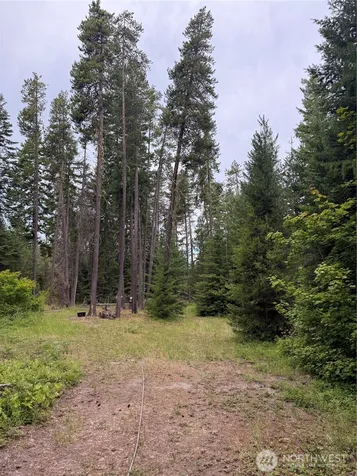 730 Tall Pines Drive Cle Elum WA 98992