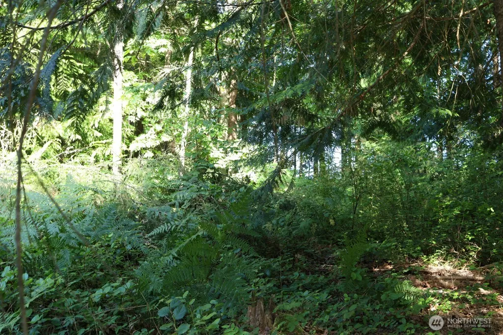 1924 Elger Bay Road Camano Island WA 98282