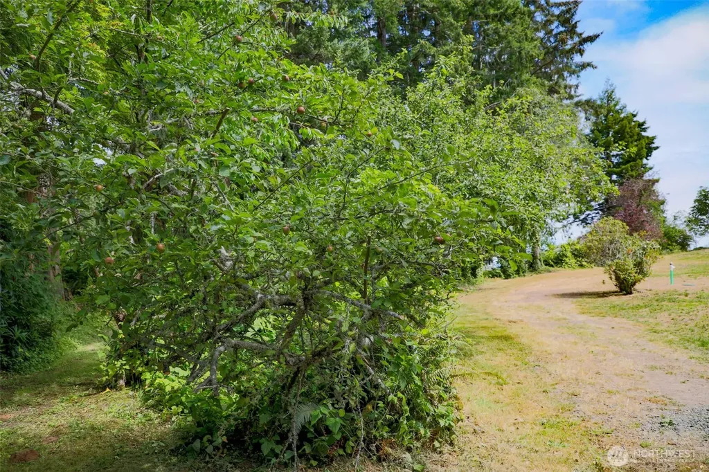 3984 NE Twin Spits Road Hansville WA 98340