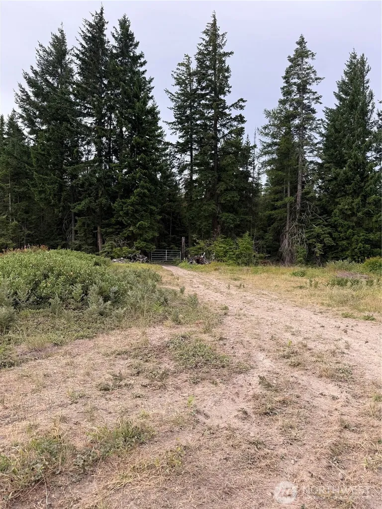 750 Tall Pines Drive Cle Elum WA 98992