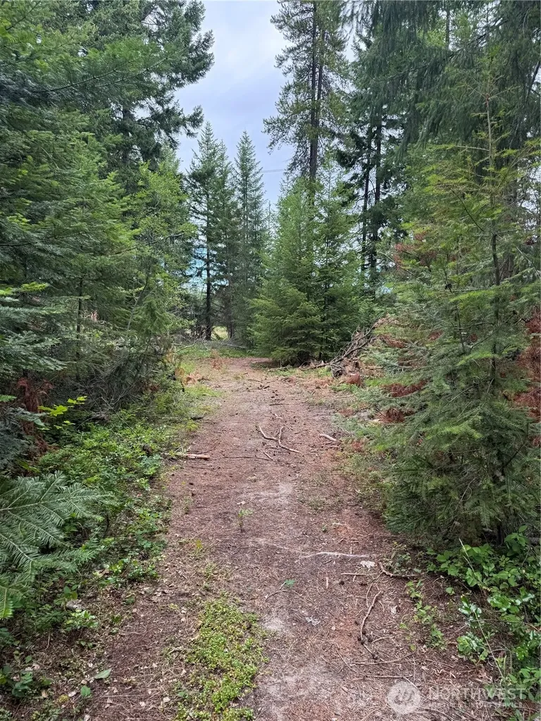 750 Tall Pines Drive Cle Elum WA 98992