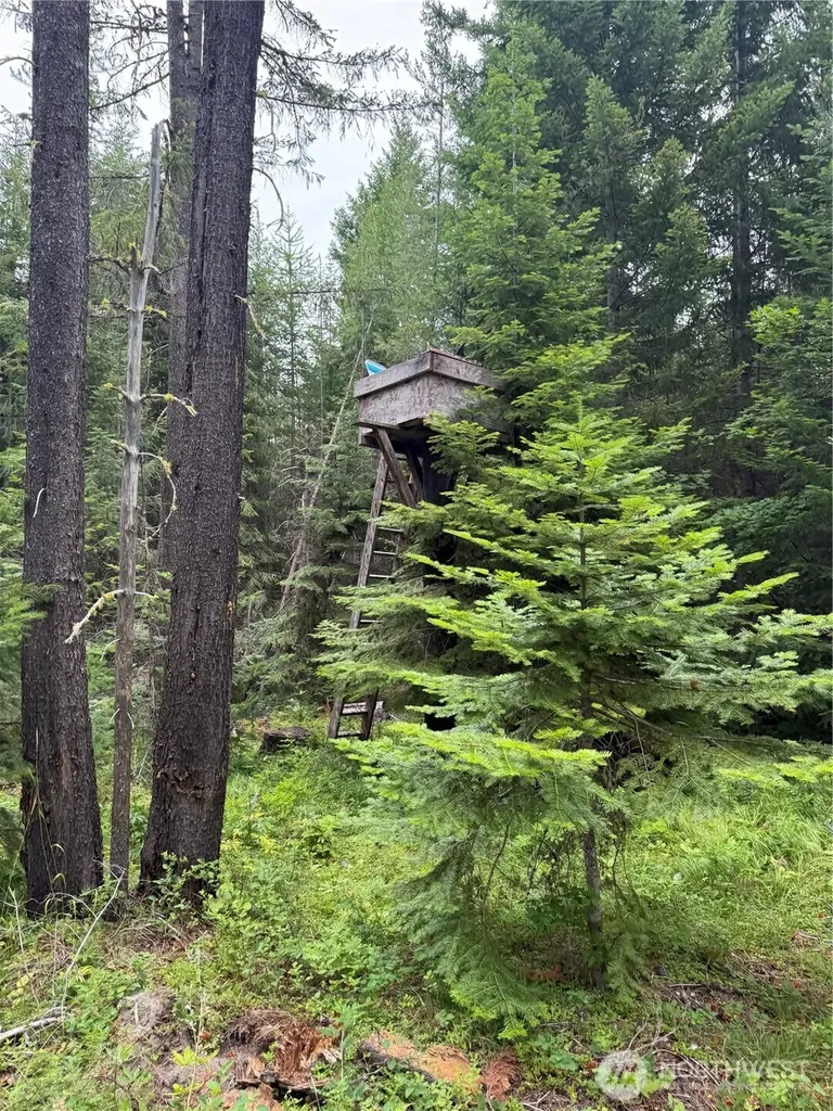750 Tall Pines Drive Cle Elum WA 98992