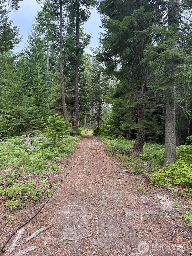 750 Tall Pines Drive Cle Elum WA 98992