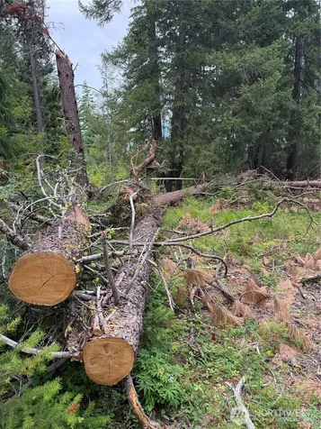 750 Tall Pines Drive Cle Elum WA 98992