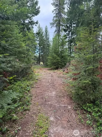 750 Tall Pines Drive Cle Elum WA 98992