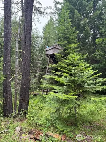 750 Tall Pines Drive Cle Elum WA 98992