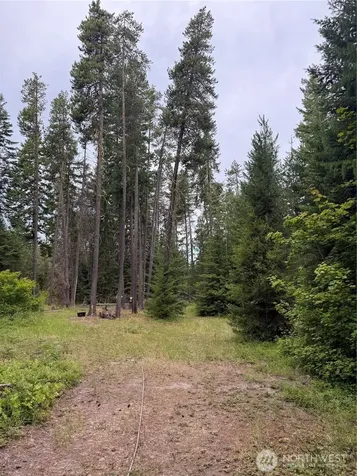 750 Tall Pines Drive Cle Elum WA 98992