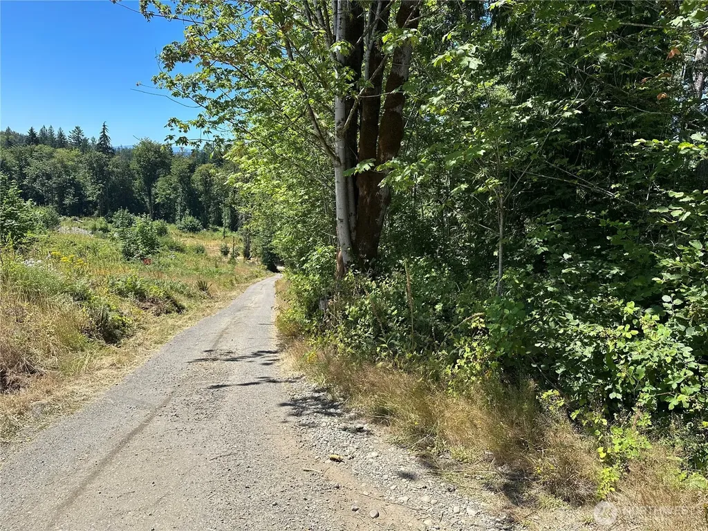 0 Hippie Hill Road Belfair WA 98528