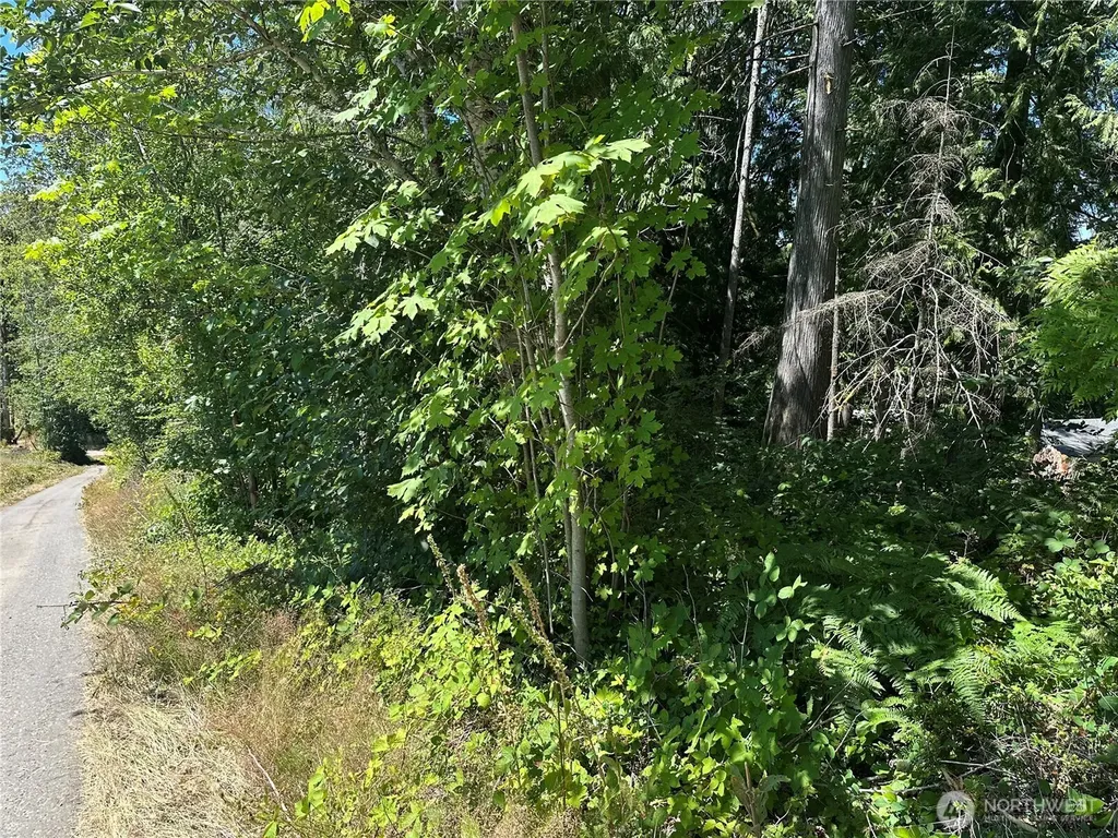 0 Hippie Hill Road Belfair WA 98528
