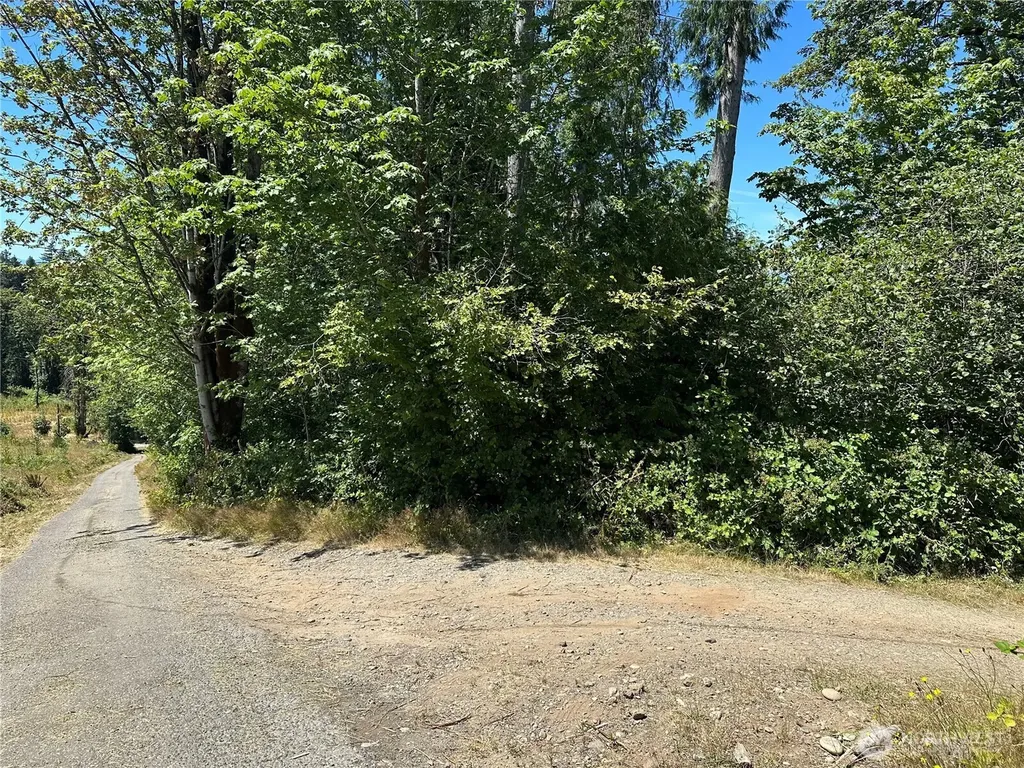 0 Hippie Hill Road Belfair WA 98528