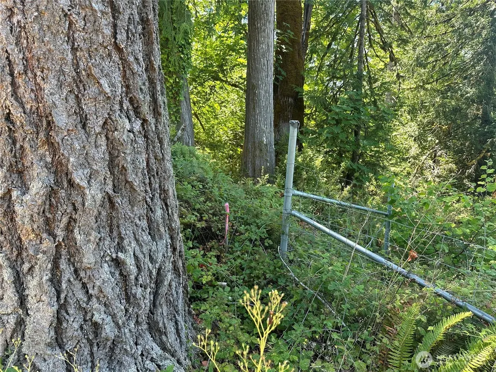 0 Hippie Hill Road Belfair WA 98528