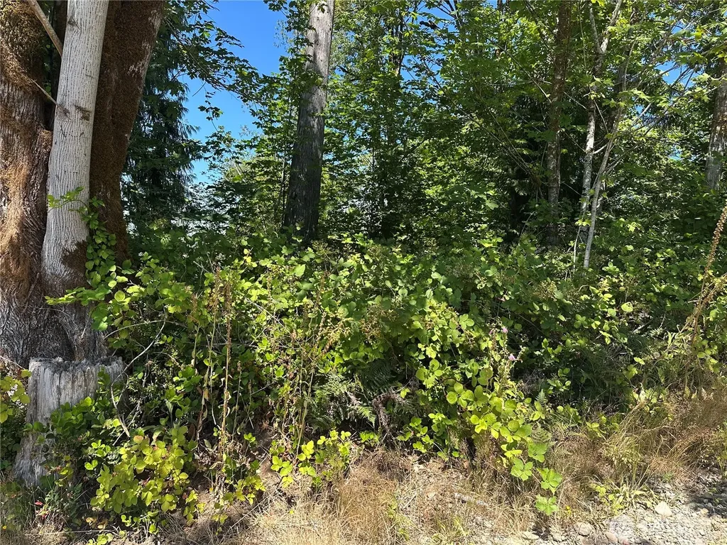 0 Hippie Hill Road Belfair WA 98528