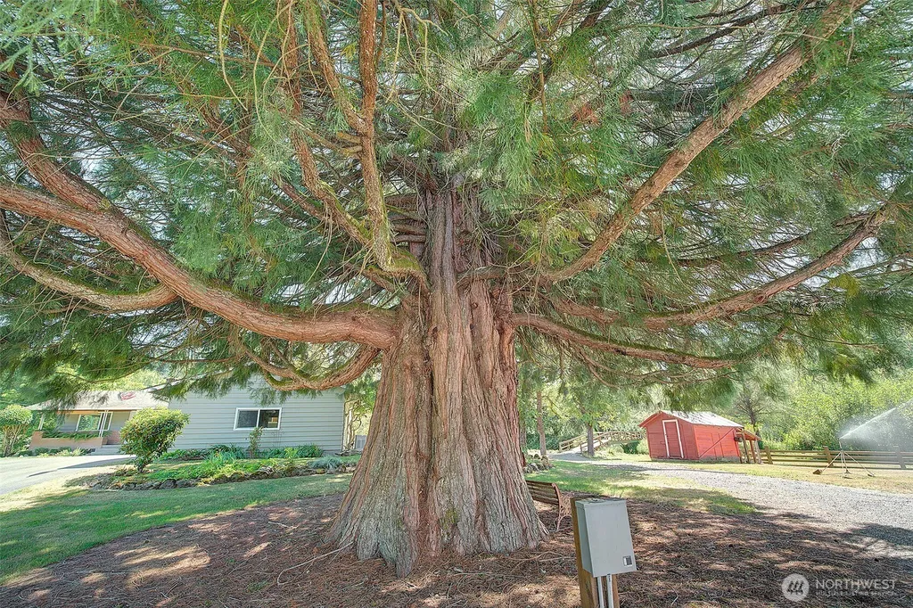 18021 Issaquah Hobart Road SE Issaquah WA 98027