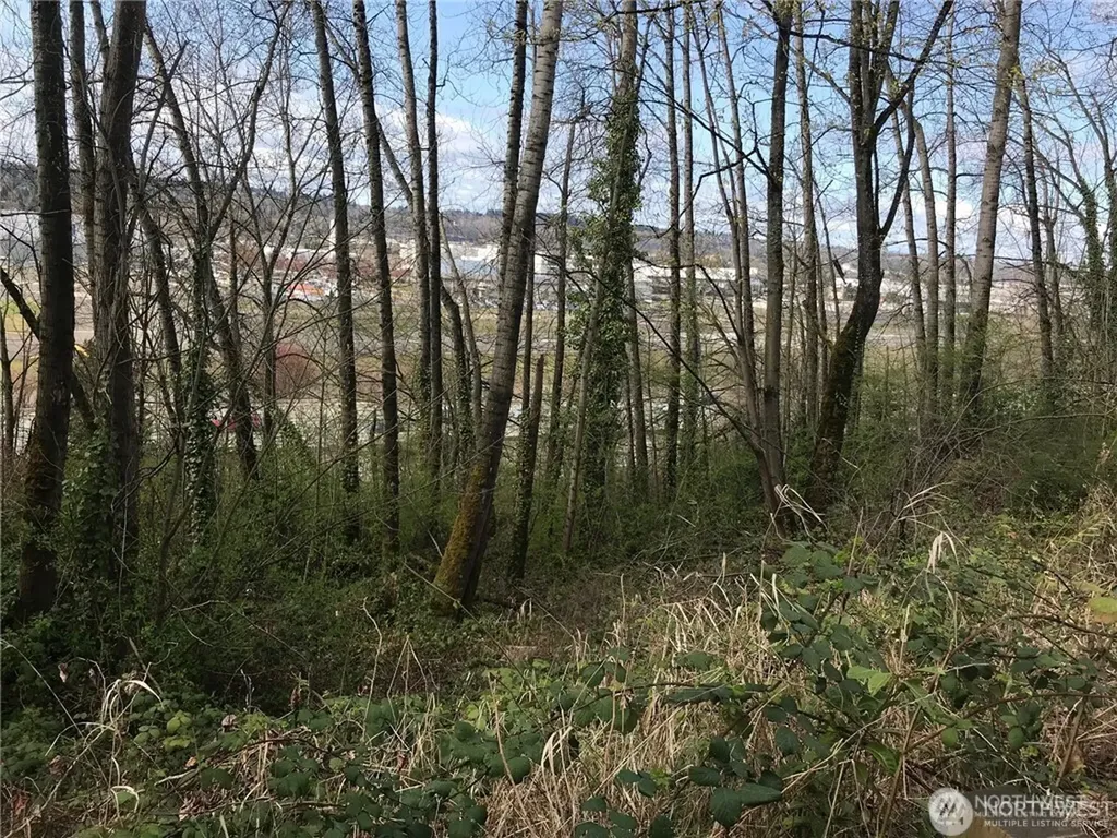 9419 Leroy Place S Seattle WA 98118