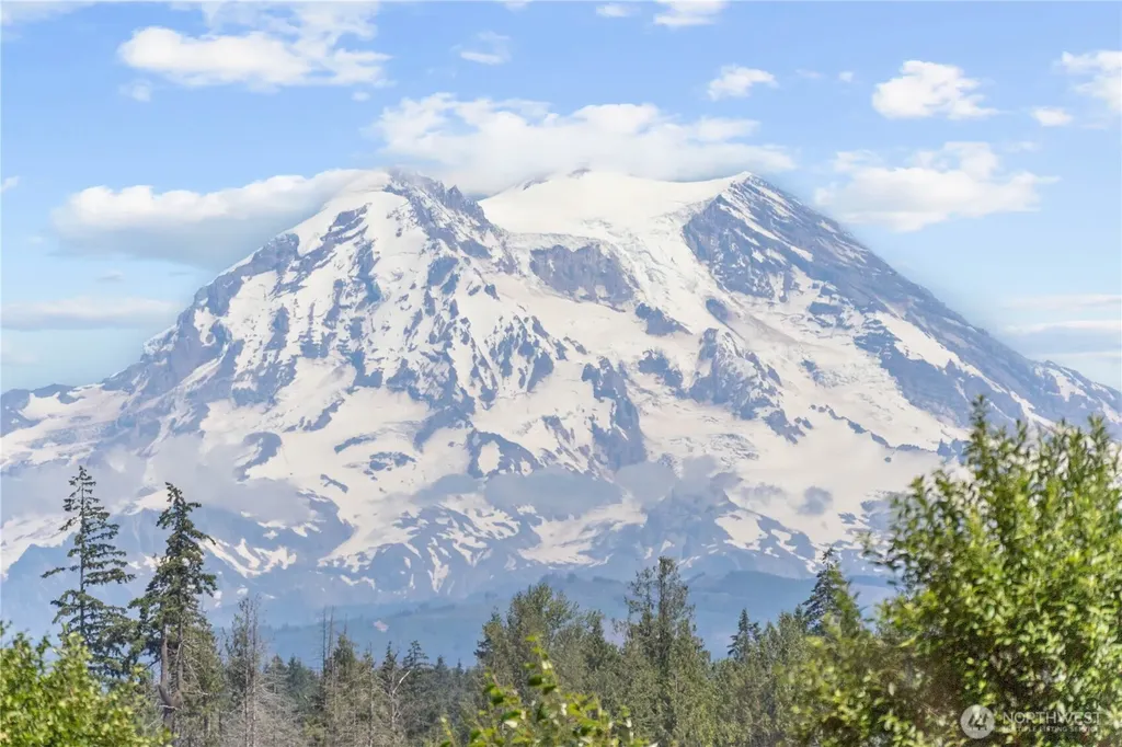 2514 State Route 702 E Roy WA 98580