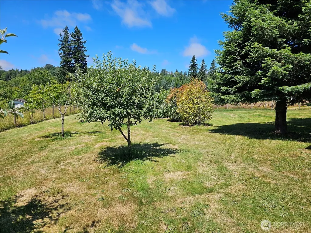 106 Maulwee Drive Silver Creek WA 98585