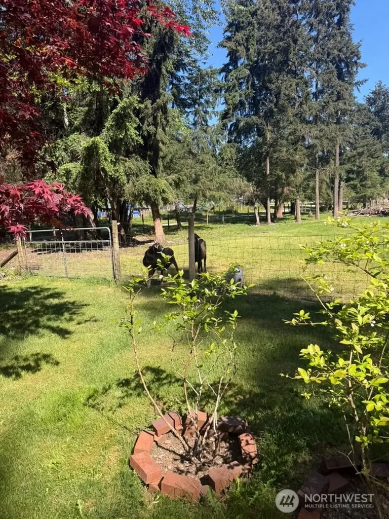 22903 61st Avenue E Spanaway WA 98387