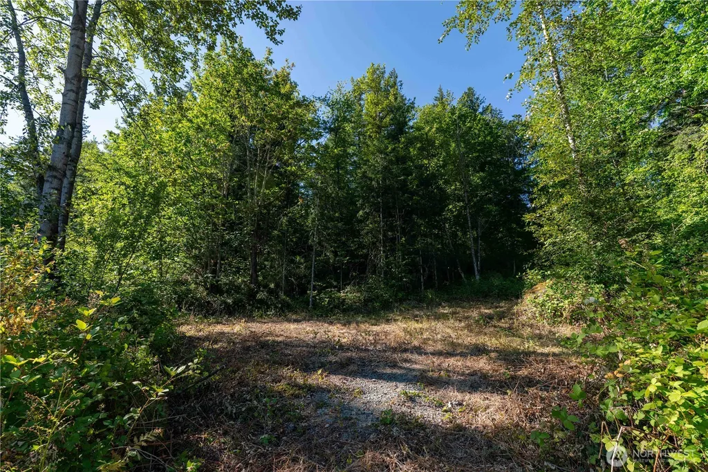 14405 399th Avenue SE Gold Bar WA 98251