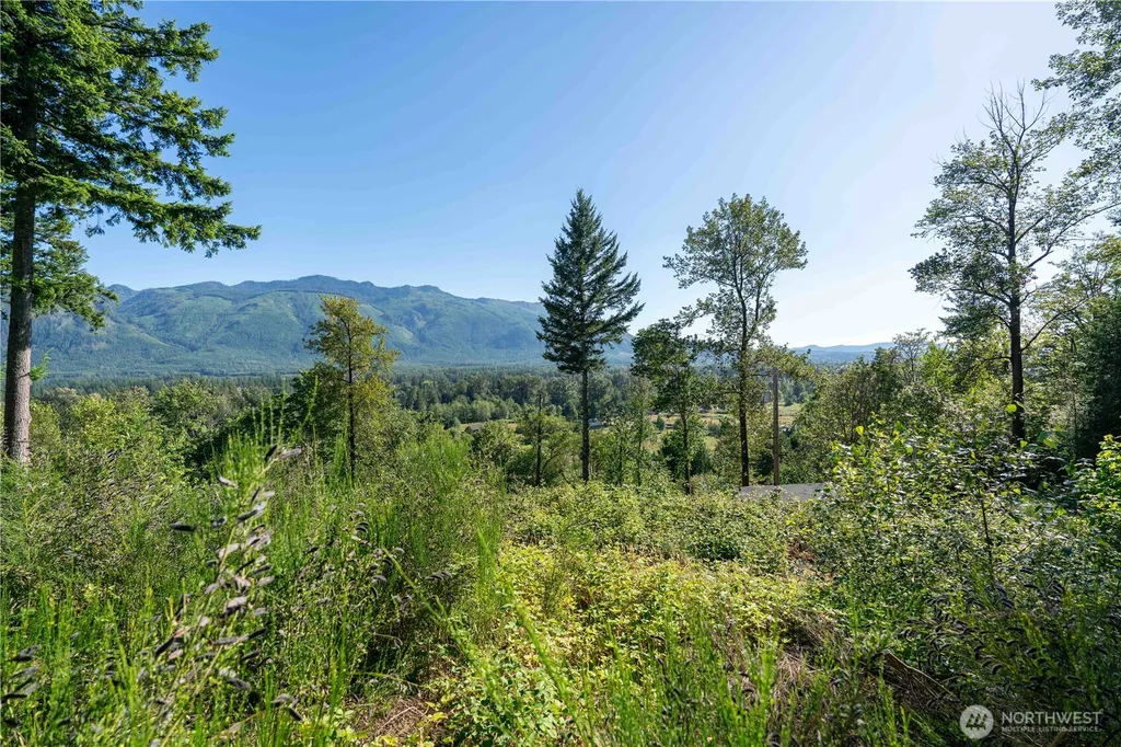 14405 399th Avenue SE Gold Bar WA 98251