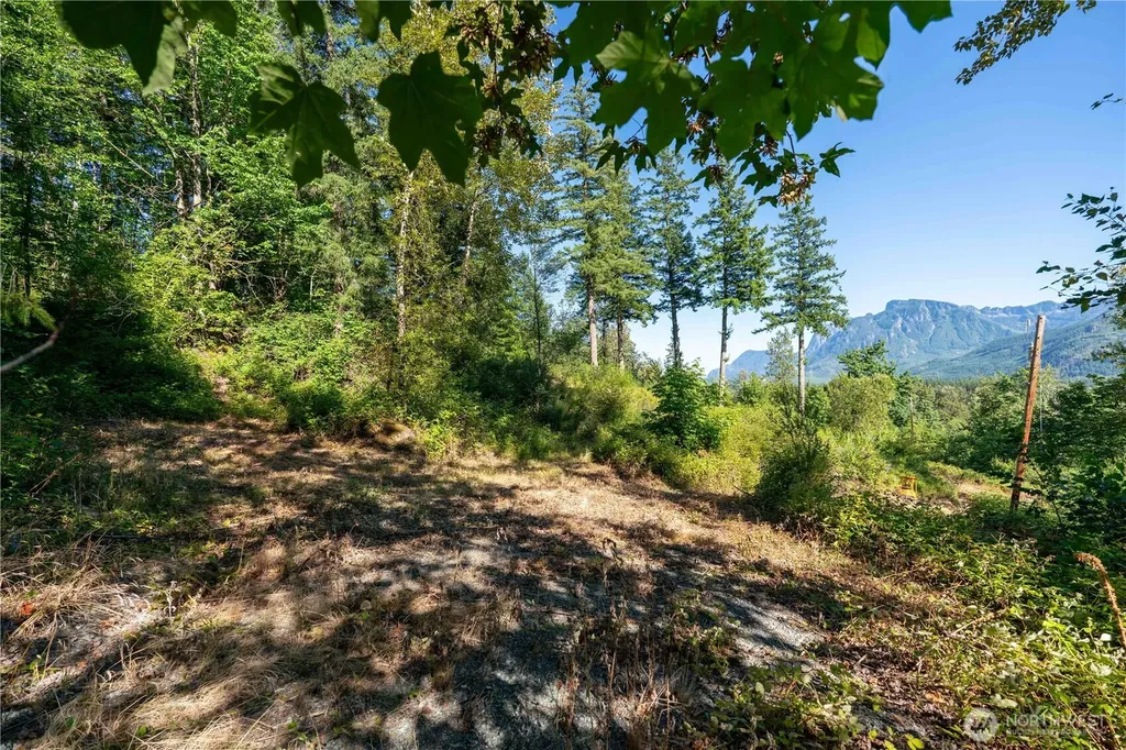 14405 399th Avenue SE Gold Bar WA 98251