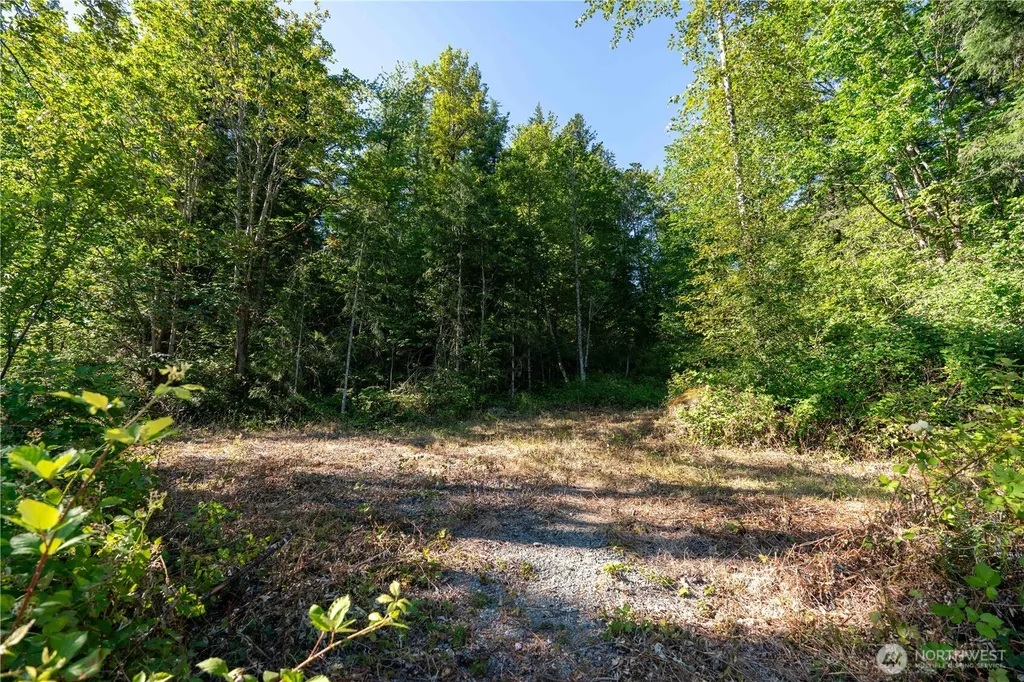 14405 399th Avenue SE Gold Bar WA 98251