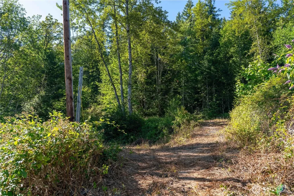 14405 399th Avenue SE Gold Bar WA 98251